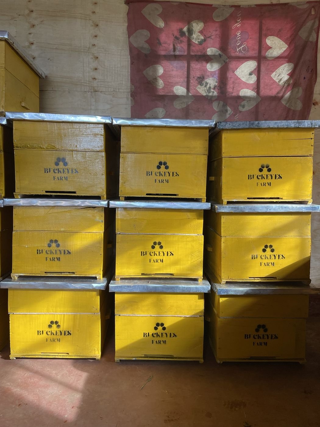 Stacked yellow hives stencilled with the Buckeyes Farm logo